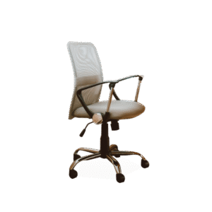 working chair with armrest
